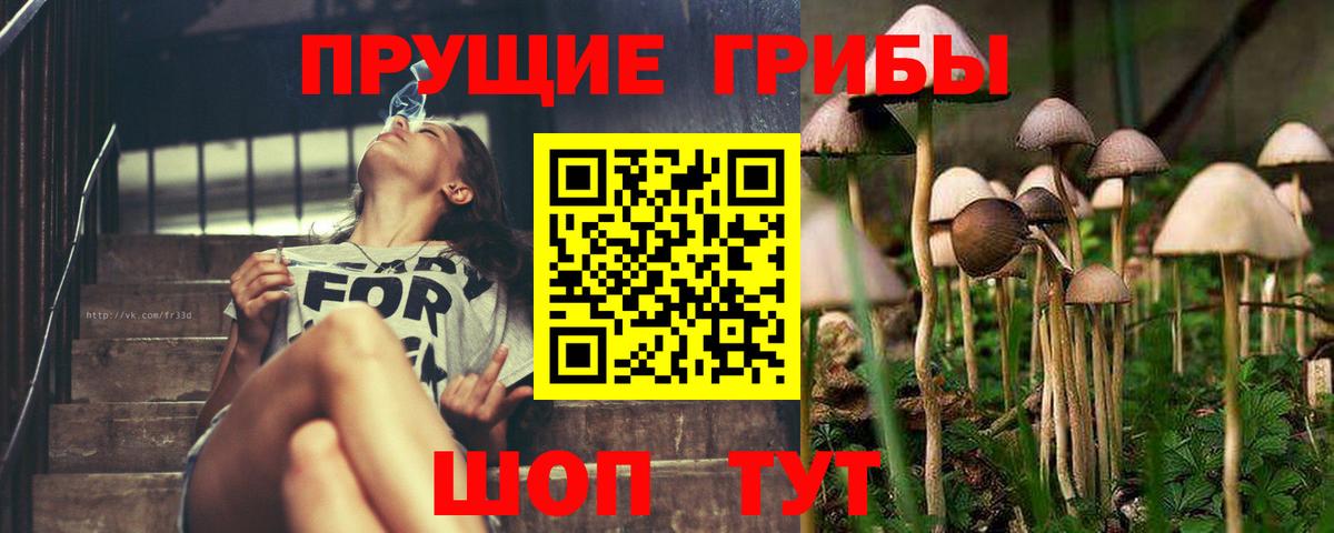 Псилоцибиновые грибы мицелий  Псилоцибиновые грибы Magic Shrooms  Ангарск  Вход с VPN 