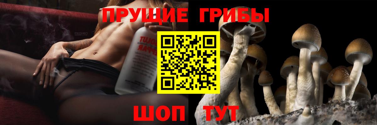 Галлюциногенные грибы мухоморы Ангарск